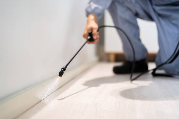 Licensed Termite Control service in Harris County County, GA - Nex Pest Control