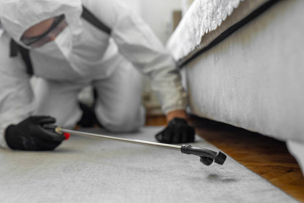 Professional Termite Control technician working in Harris County County, GA